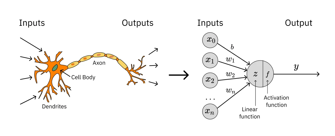 Artificial Neural Network
