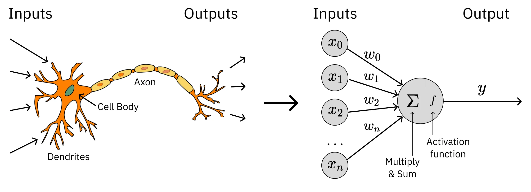 Artificial Neural Network
