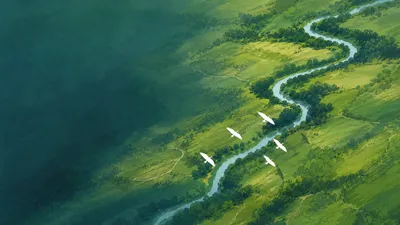 Flying birds