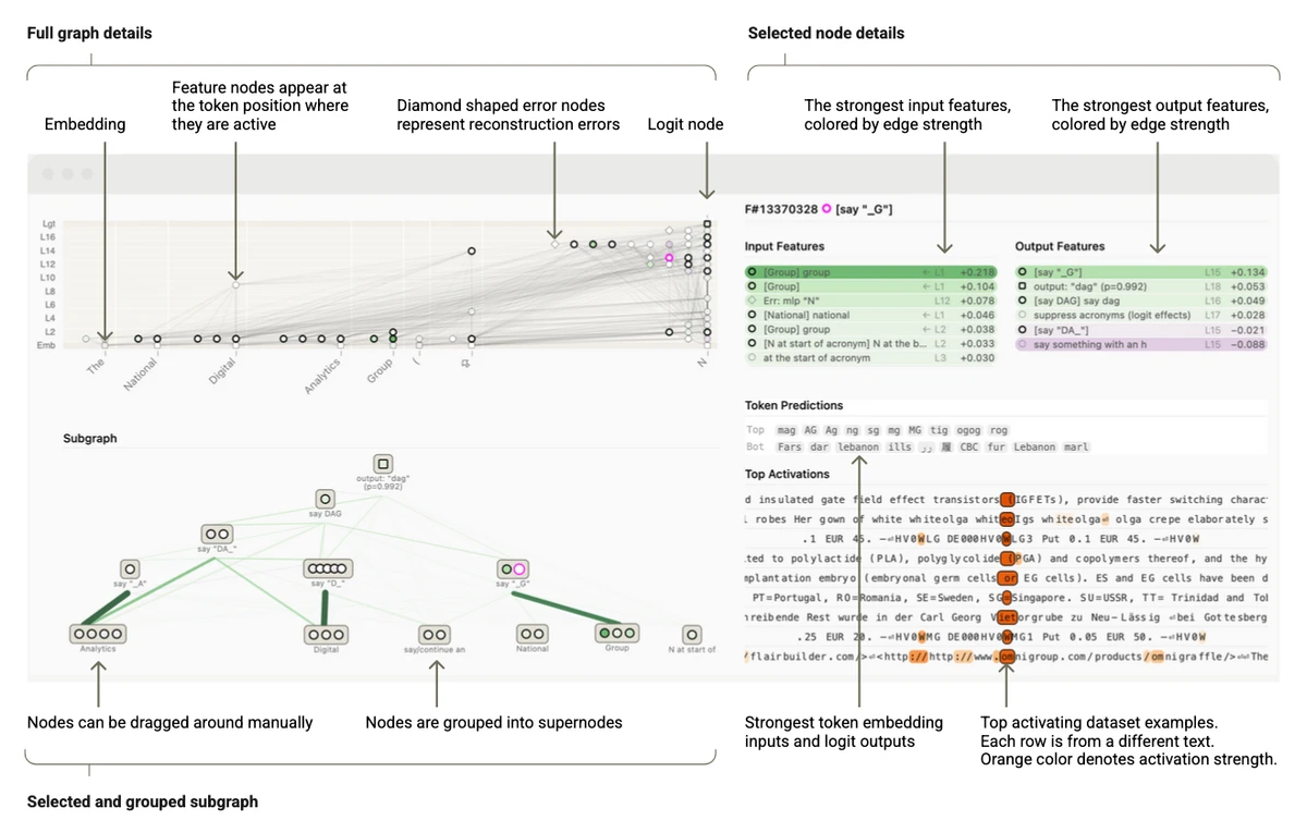 Attribution graph interface with input, feature, error, and output nodes; a selected subgraph; and details for one feature