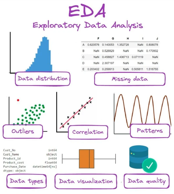 Exploratory Data Analysis