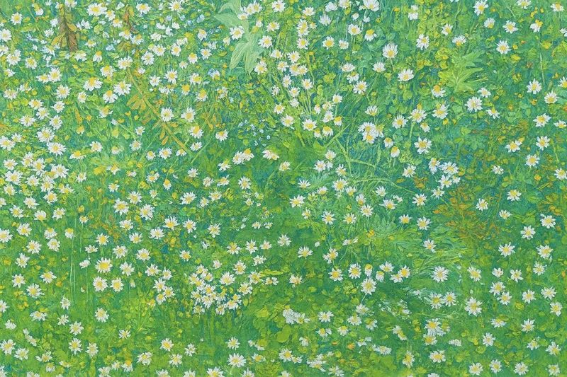 A field of flowers