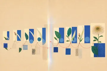 Abstract shapes