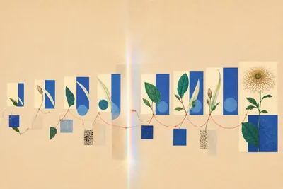 Abstract shapes