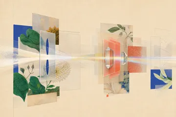 Abstract shapes