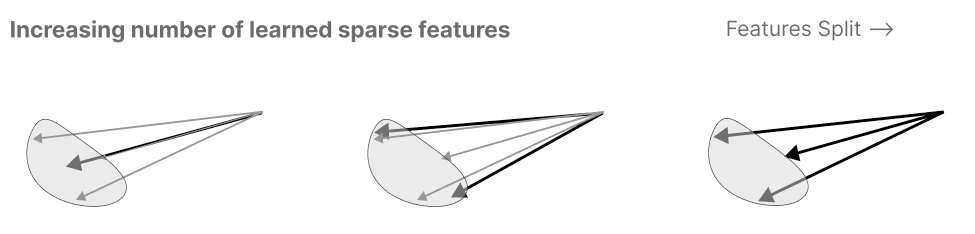 Sketch showing one coarse feature direction dividing into several more specific directions as dictionary width increases