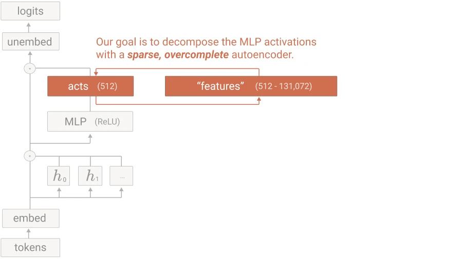 Problem setup: decompose the 512 MLP activations of a one-layer transformer into up to 131,072 sparse features