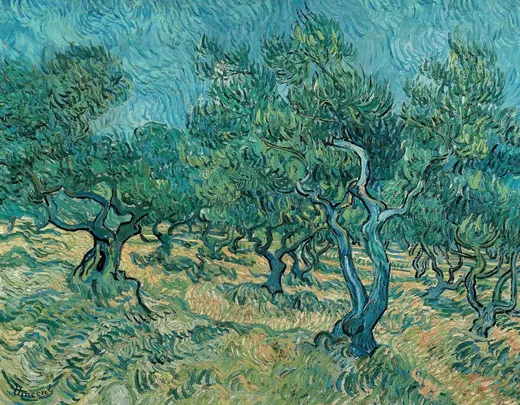 Olive Trees by Vincent van Gogh