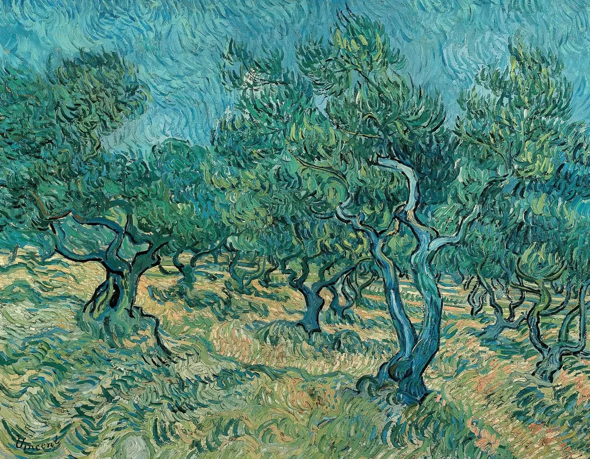 Olive Trees by Vincent van Gogh