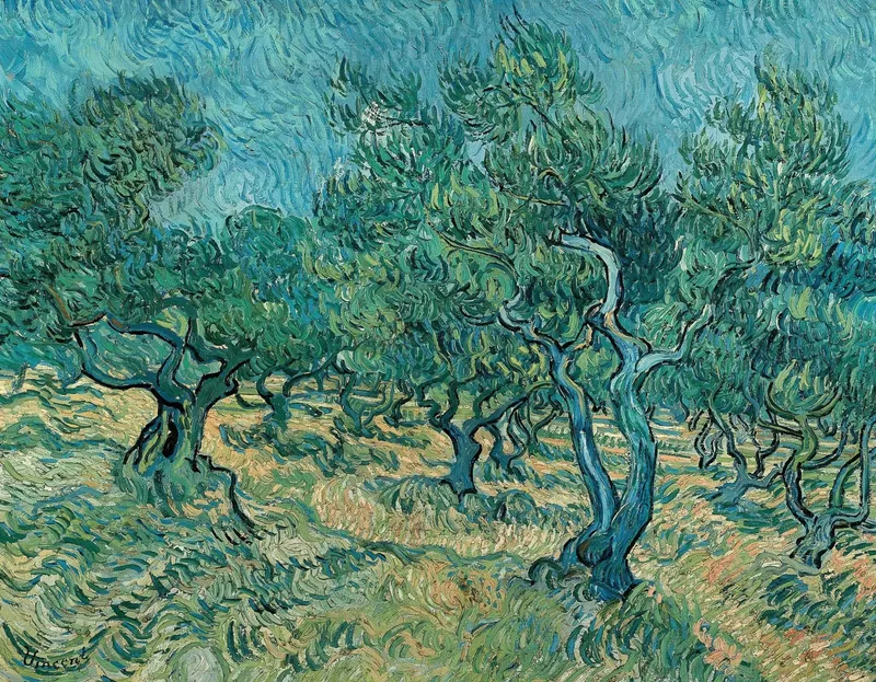 Olive Trees by Vincent van Gogh