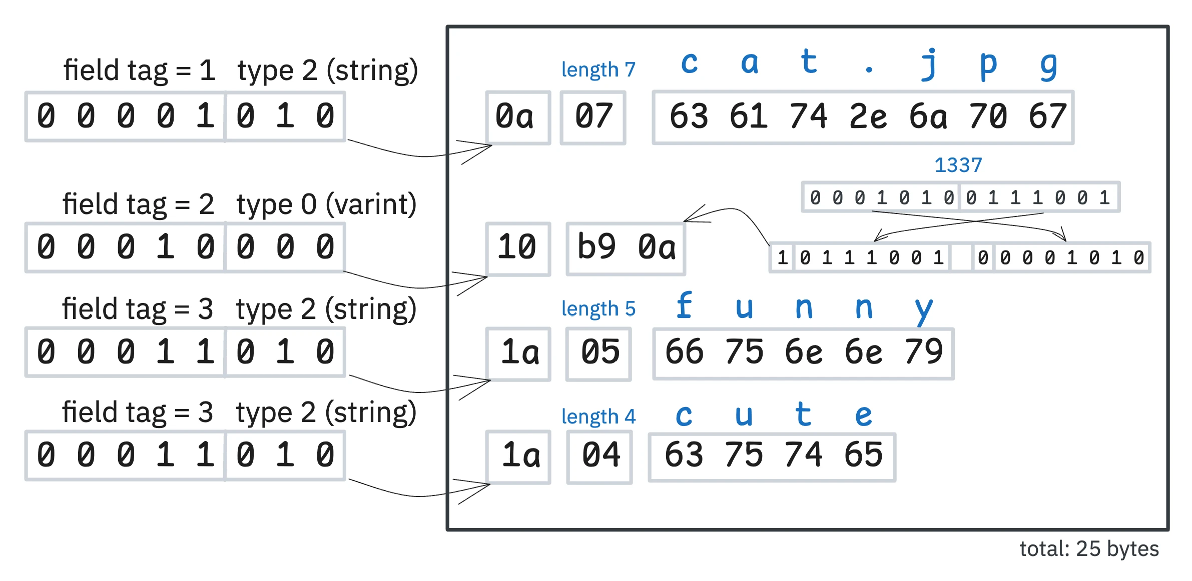Serialization of a FileMetadata message using Protocol Buffers. Each field is encoded as a key (containing the tag number and wire type) followed by the value. String fields also include a length prefix.