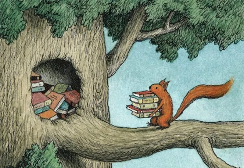 Squirrel Stash by Franco Matticchio