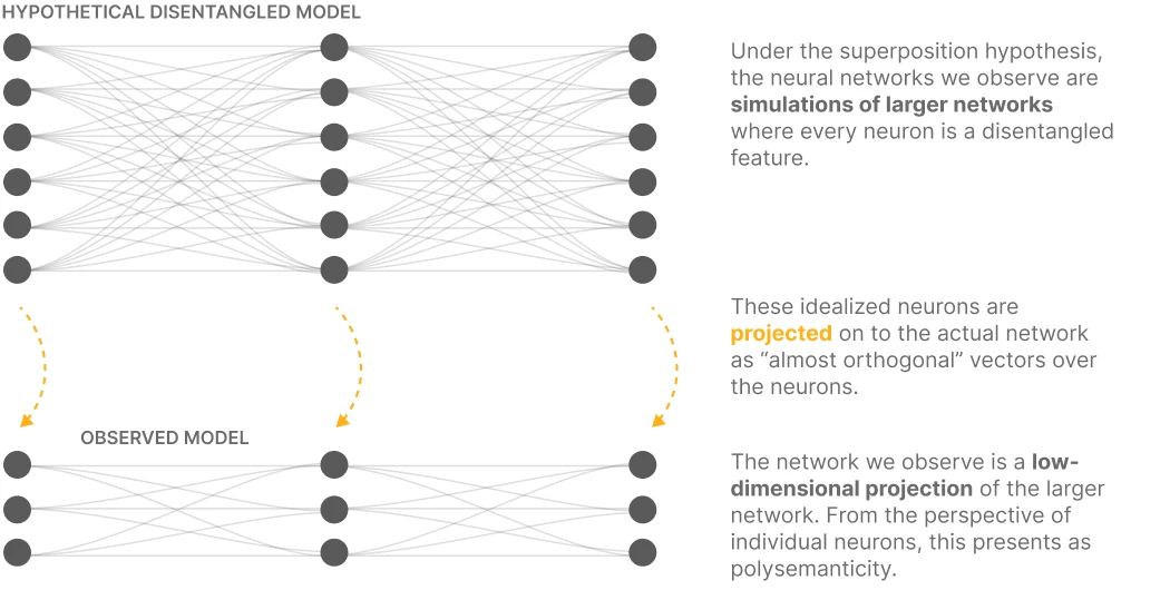 A hypothetical disentangled network with one neuron per feature projected into a smaller observed network whose neurons are polysemantic
