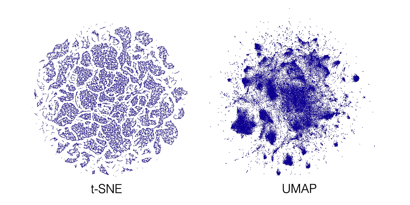 t-SNE and UMAP