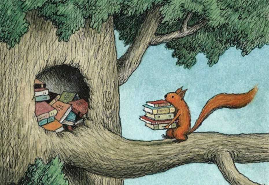 Squirrel Stash by Franco Matticchio Squirrel Stash by Franco Matticchio
